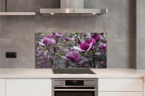 Szklany Panel Fioletowy Kwiat Magnolii