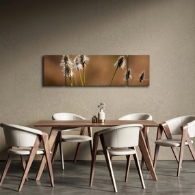 Obraz - Trawa (170x50 cm)