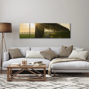 Obraz alei (170x50 cm)