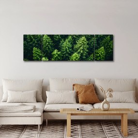 Obraz - Las (170x50 cm)
