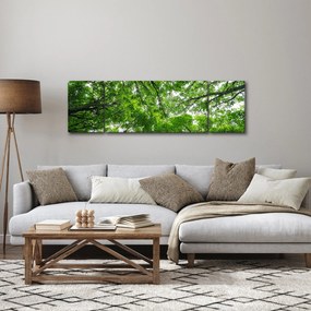Obraz - Widok do korony drzewa (170x50 cm)