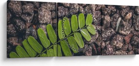 Obraz zielonej rośliny (z zegarem) (90x30 cm)