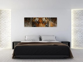 Obraz - Portret tygrysa w wodzie (170x50 cm)