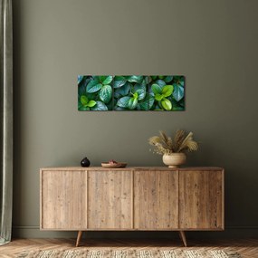 Obraz - Rośliny zielone (z zegarem) (90x30 cm)