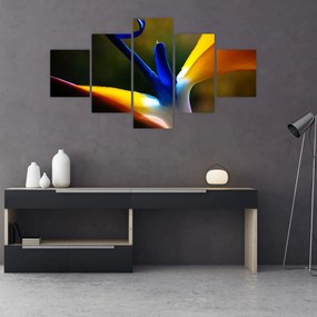 Obraz - Egzotyczny kwiat (125x70 cm)