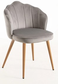 Aksamitne krzeso Blume