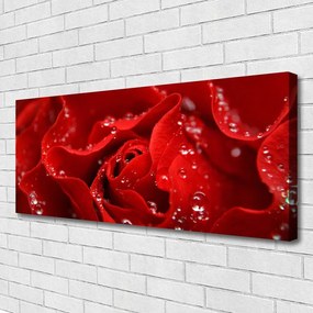 Fotoobraz na płótnie Dzika Róża w Rozkwicie