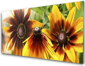 Dekor Szklany do Kuchni Pastelowy Ogród Botaniczny