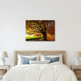Obraz jesiennego drzewa (70x50 cm)