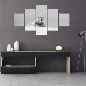 Obraz - Niedźwiedź polarny (125x70 cm)