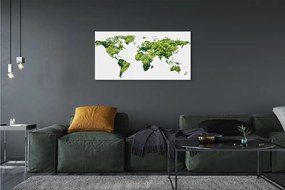 Obraz canvas na ścianę Mapa na Zielonej Trawie