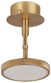 Lampa punktowa LED w kolorze złota ø 12 cm Asteria Spot – UMAGE