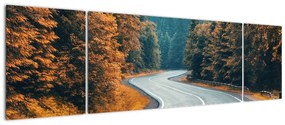 Obraz - Kręta droga (170x50 cm)