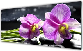 Szkło do Kuchni na Ścianę Feeria Kwiatowych Barw