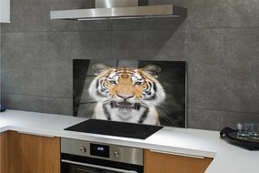 Panel szklany do Kuchni Tygrys Bengalski w Naturze