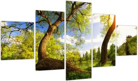 Obraz wiosennej łąki (125x70 cm)