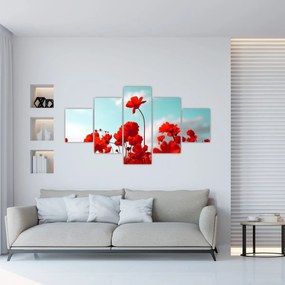 Obraz pola z jasnoczerwonymi kwiatami (125x70 cm)
