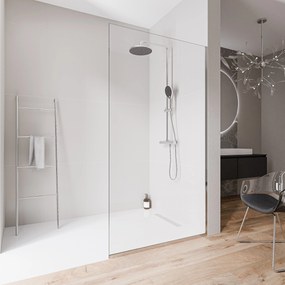 Ścianka prysznicowa Walk-In EX102-2 szkło Nano