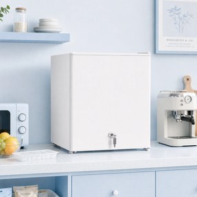 HOMCOM Mini-zamrażarka 35 l zamrażarka wolnostojąca 161 W 47 x 44,2 x 48,8 cm biały | Aosom PL