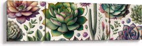 Obraz - Sukulenty (170x50 cm)