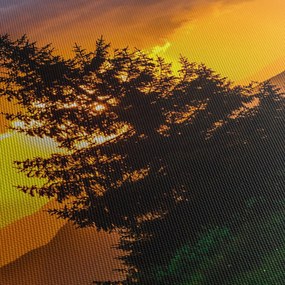 Obraz - drzewa iglaste (170x50 cm)
