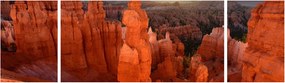 Obraz - Park Narodowy Utah (170x50 cm)