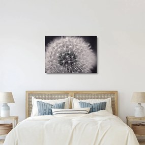 Obraz na szkle dmuchawca (70x50 cm)