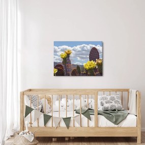Obraz opuncji (70x50 cm)