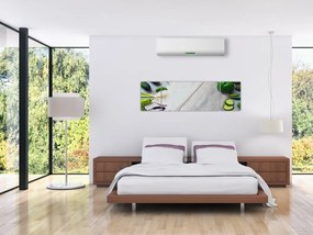 Obraz warzyw (170x50 cm)