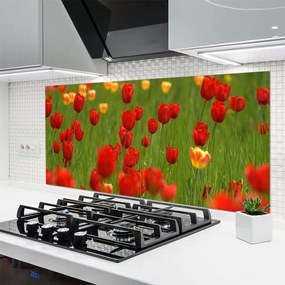 Panel Kuchenny Wiosenna Świeżość Tulipanów