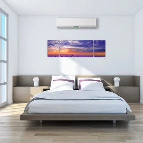Obraz lawendowego pola (170x50 cm)