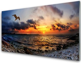 Panel Kuchenny Mewa Nad Brzegiem Oceanu