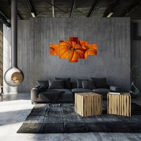 Obraz - Wspaniałe dynie (125x70 cm)