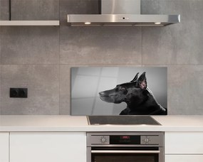 Panel szklany do Kuchni Elegancki Czarny Pies