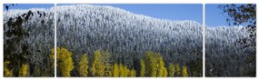 Obraz - ośnieżone góry zimą (170x50 cm)