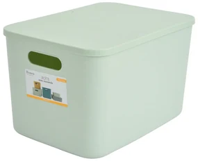 Jasnozielony plastikowy pojemnik z pokrywką 35,5x25,5x23 cm – Homéa