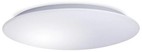 LED Plafon AVESTA LED/45W/230V IP54