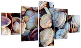 Obraz muszelek (125x70 cm)