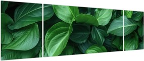 Obraz - Zielone liście (170x50 cm)