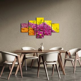 Obraz różowego kwiatu (125x70 cm)