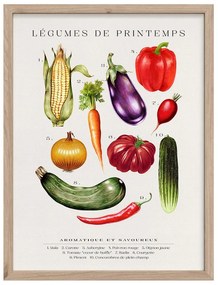 Obraz 30x40 cm Legumes – Styler