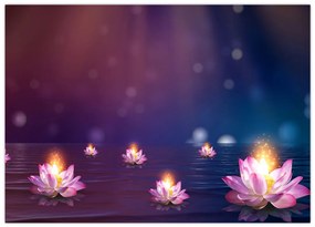 Obraz na szkle - Magiczne lilie wodne (70x50 cm)