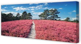 Obraz canvas na ścianę Pole Wrzosów i Las
