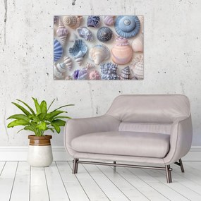 Obraz na szkle - Kolekcja muszli (70x50 cm)