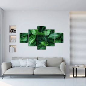 Obraz - Zielone liście (125x70 cm)