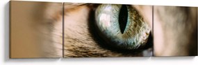 Obraz - Kocie oko (170x50 cm)