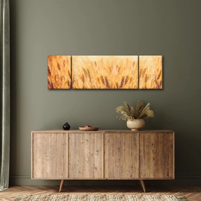 Obraz - pole z ziarnami (170x50 cm)