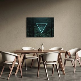 Obraz na szkle - Neonowy trójkąt w dżungli (70x50 cm)