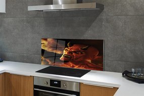 Panel szklany do Kuchni Wizerunek Diabła