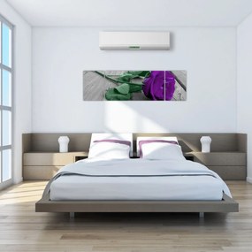 Obraz - Fioletowa róża z zieloną łodygą (170x50 cm)